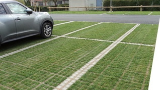 Driveway - Reinforced Grass